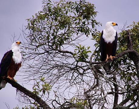 Lake Mburu Uganda africa tours