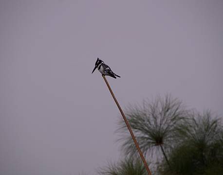 Lake Mburu Uganda africa tours