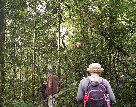 Kibale Uganda africa tours