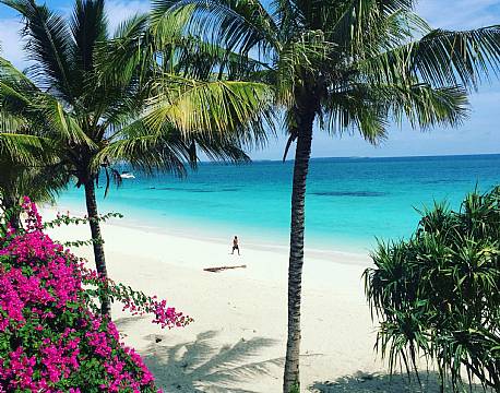 Zuri Zanzibar 14 africa tours