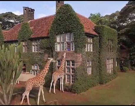 Giraffe Manor kenya 12 africa tours