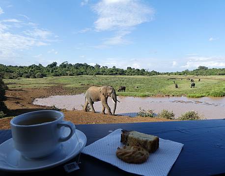 Aberdare højlandet kenya africa tours