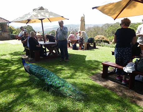 Aberdare Country Club Aberdare Kenya africa tours