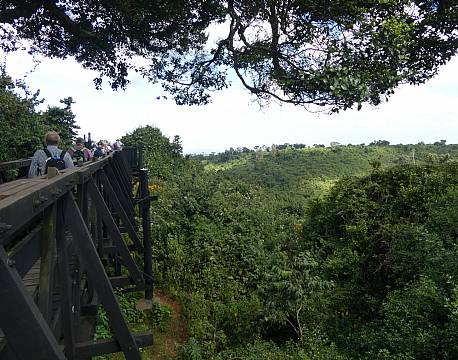 The Ark Aberdare Kenya africa tours