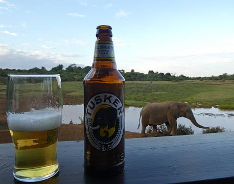 The Ark Aberdare Kenya africa tours