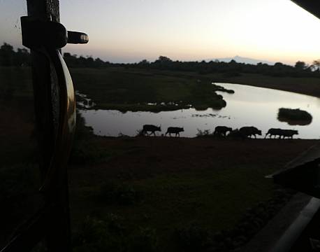 The Ark Aberdare Kenya africa tours