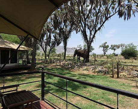 Ashnil Samburu, Samburu, Kenya 11 africa tours