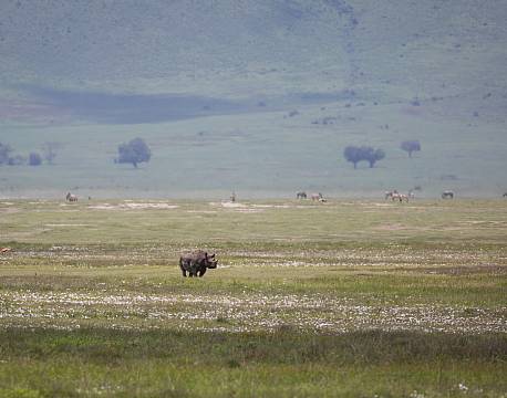 Ngorongoro krateret Tanzania africa tours