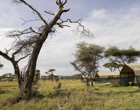Ndutu Under Canvas tanzania 3 africa tours