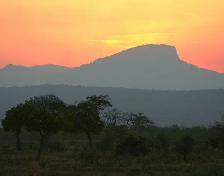 Mikumi np tanzania africa tours