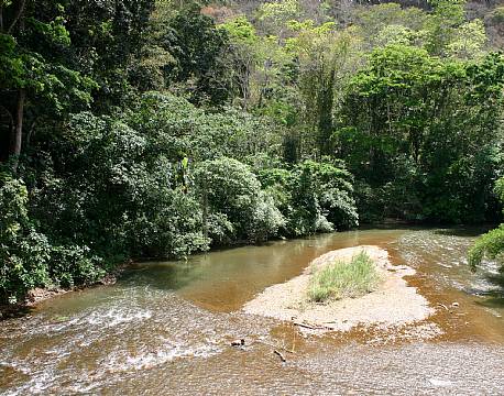 Nyerere vildreservat tanzania africa tours