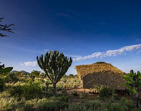  Loita Hills Basecamp kenya 6 africa tours