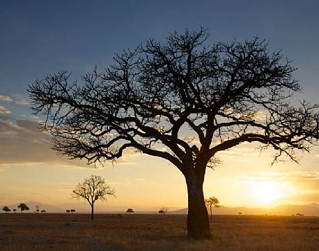 Stanley´s Kopje, Mikumi tanzania 17 africa tours