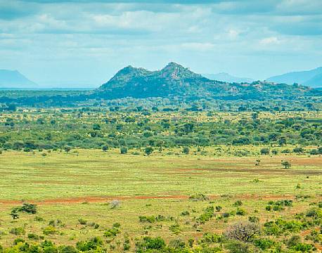 meru national park kenya africa tours
