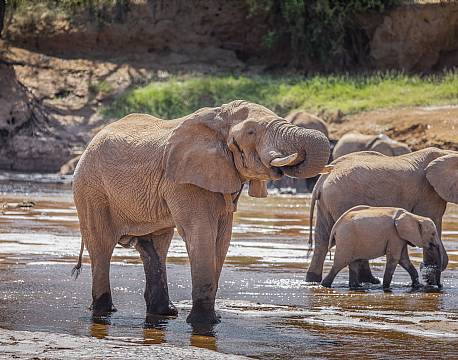 Samburu kenya africa tours