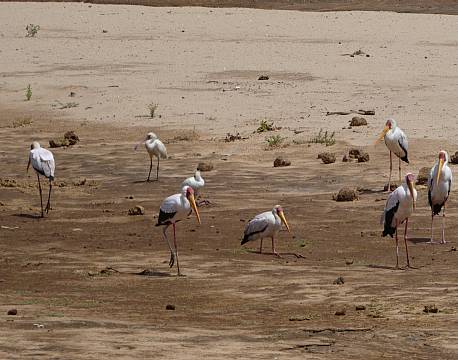 Samburu kenya africa tours