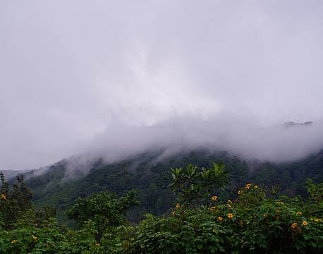 Buhoma Haven Lodge uganda africa tours