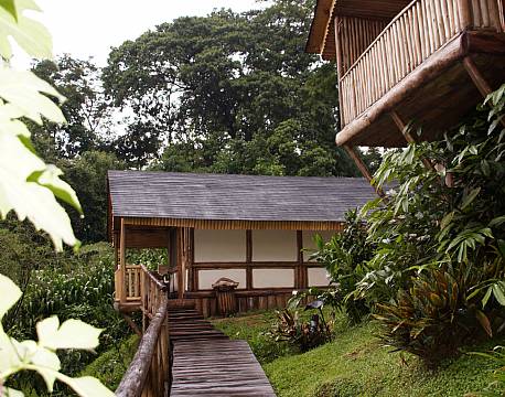 Buhoma Haven Lodge uganda africa tours