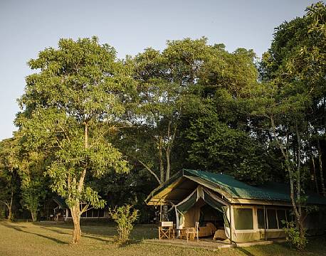 Governors Camp kenya 1 africa tours 