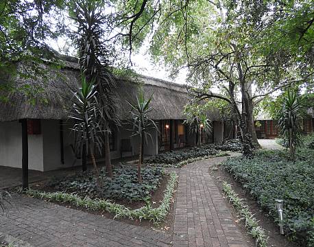 Safari Club johanneburg Sydafrika 6 africa tours