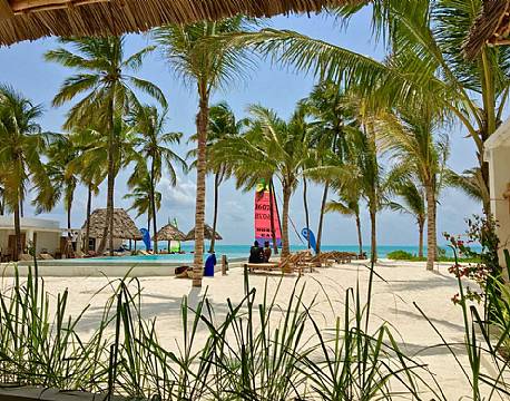 The Loop zanzibar 1 africa tours