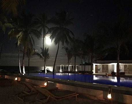 The Loop zanzibar 14 africa tours