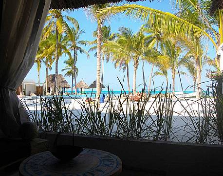 The Loop zanzibar 18 africa tours