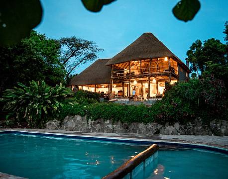 Turaco Treetops Uganda 3 africa tours