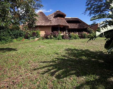 Turaco Treetops Uganda 4 africa tours
