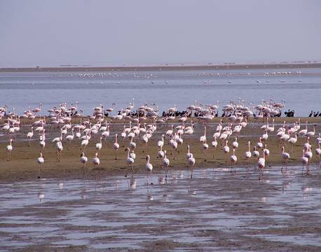Udsigt over Walvis Bay africa tours