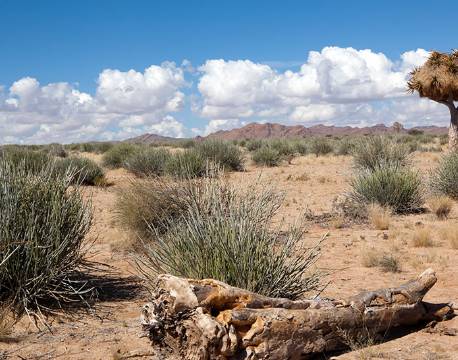 Landskabet i Fish River Canyon, Namibia africa tours