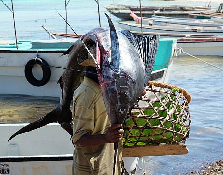 Zanzibar Tanzania indiske ocean africa tours