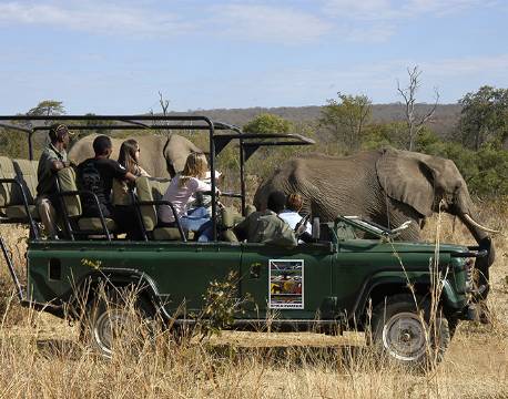 Gæsterne oplever elefanter i Hwange nationalpark, Zimbabwe africa tours