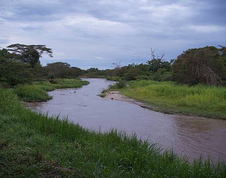 Ishasha Wilderness Camp uganda 5 africa tours