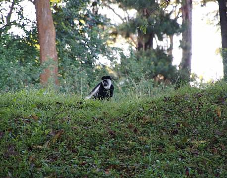 Entebbe Uganda africa tours