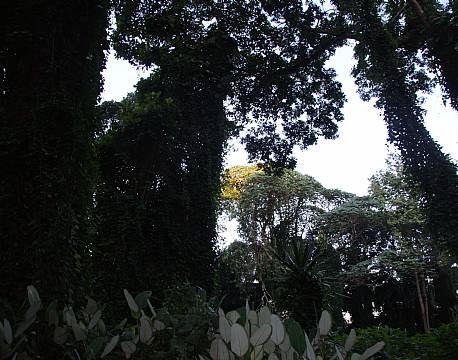 Entebbe Uganda africa tours