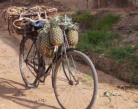 Entebbe Uganda africa tours