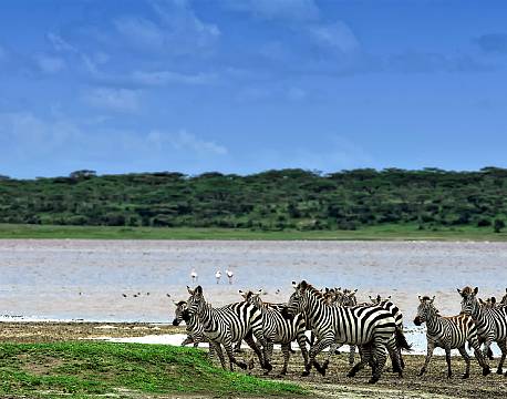 Serengeti Tanzania africa tours