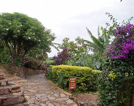 Mahogany Springs Bwindi uganda africa tours