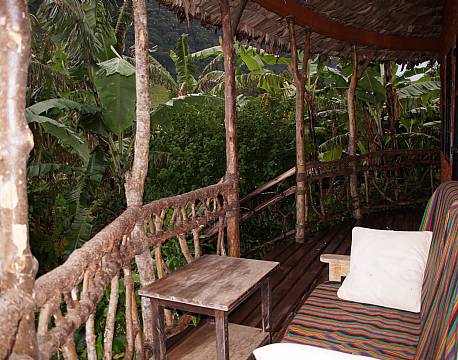 Mahogany Springs Bwindi uganda africa tours