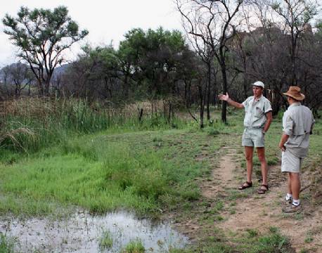 Vandre safari i Hwange, Zimbabwe africa tours