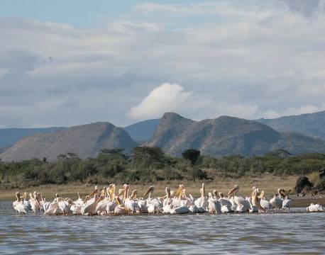 Lake Elementaita kenya africa tours