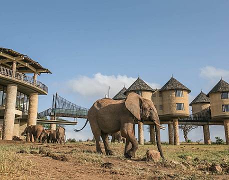 Salt Lick Lodge kenya 5 africa tours