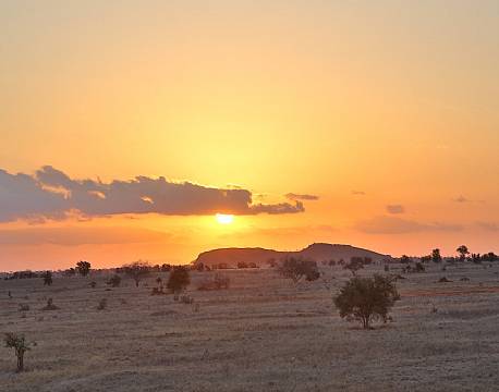 Salt Lick Lodge kenya 16 africa tours