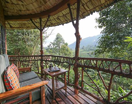 Mahogany Springs Bwindi uganda africa tours