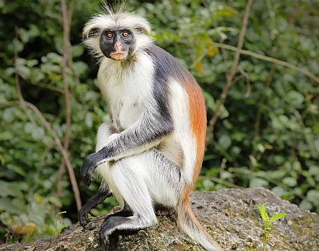 Zanzibar Tanzania indiske ocean africa tours