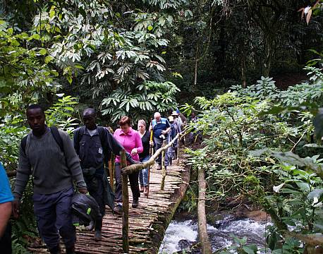 Bwindi Uganda africa tours