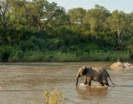 Kruger Shalati - The Train on the Bridge sydafrika 7 africa tours