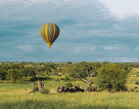 Tarangire Kati Kati Tented Camp tanzania 12 africa tours