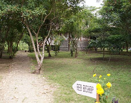 Ishasha Jungle Lodge uganda 3 africa tours